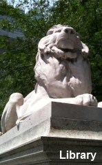 NY Central Library Lion